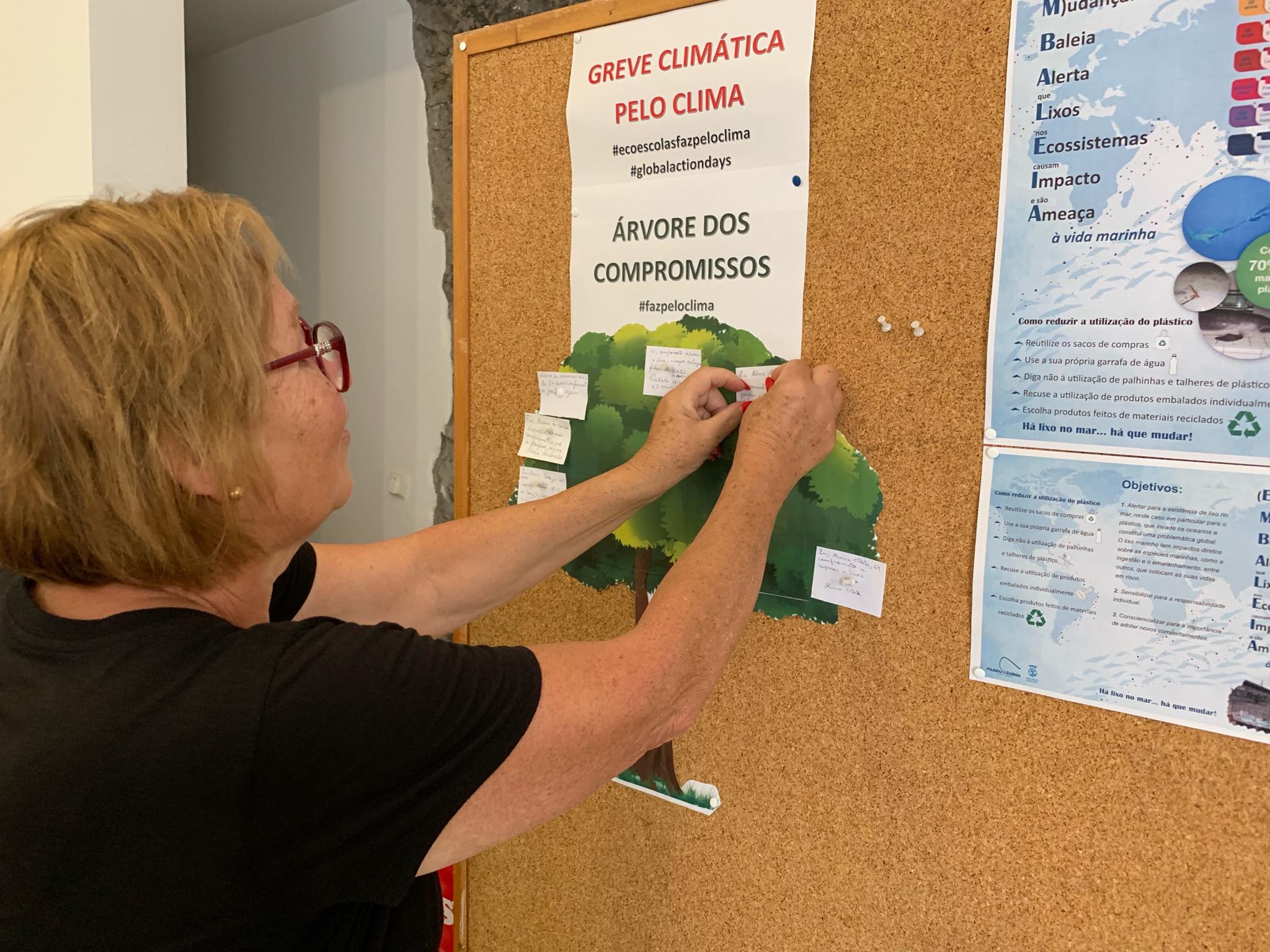 71276516_404322370481473_5811907491058941952_n