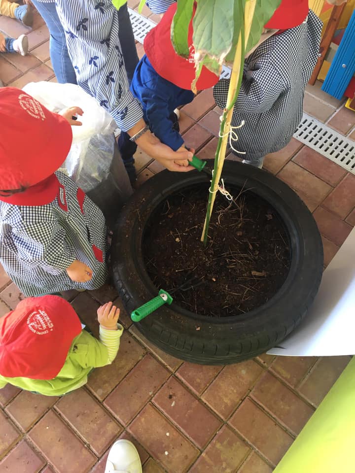 71324394_2532795986743130_2575374781385801728_n