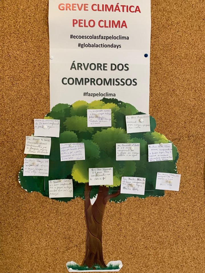 71376988_2323439821318966_6841904686602125312_n