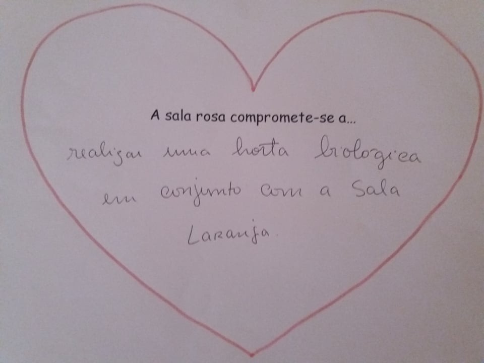 71459428_2316473515333924_5399560119195271168_n