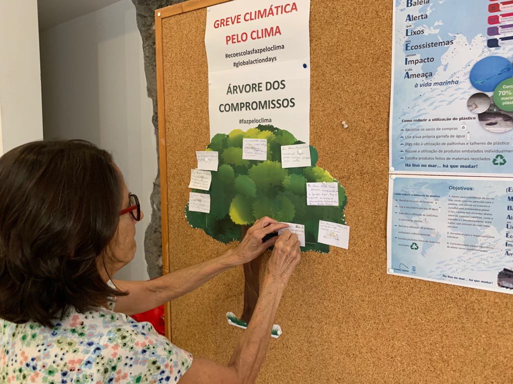 71679755_395371921411699_927911041302528000_n