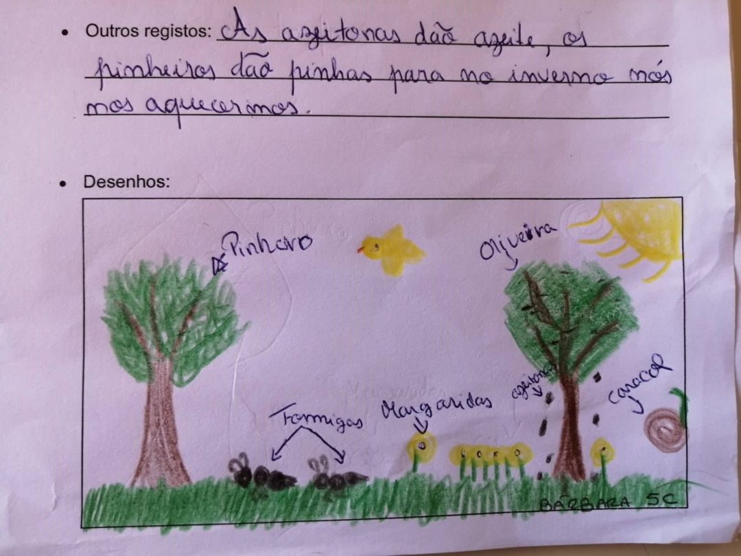 Caracterização de habitats e biodiversidade na Escola Básica e Secundária da Chamusca