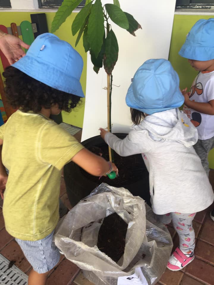 71771175_2532796066743122_3764886628510728192_n