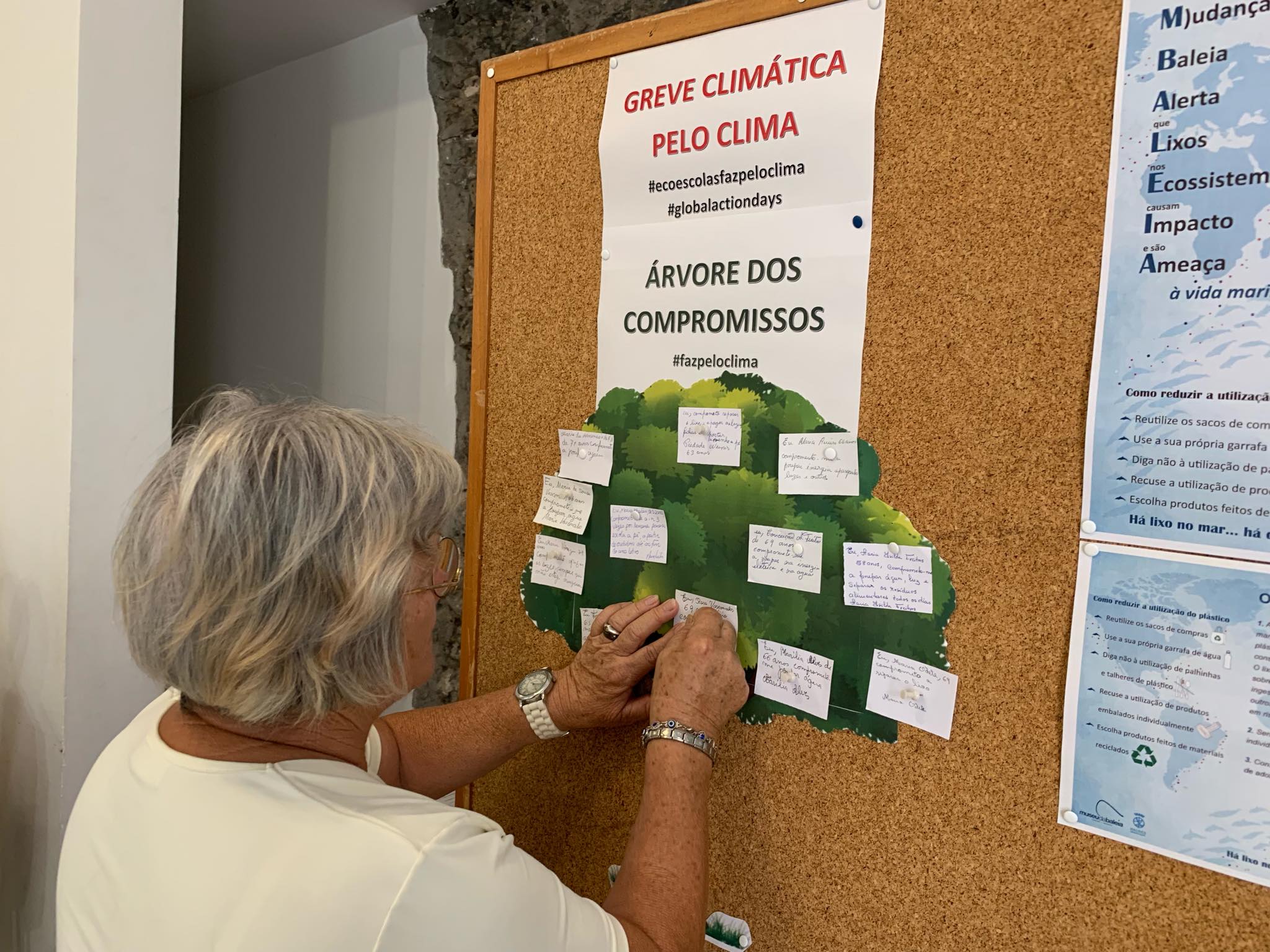 71786400_2255650568059196_6712677105009688576_n