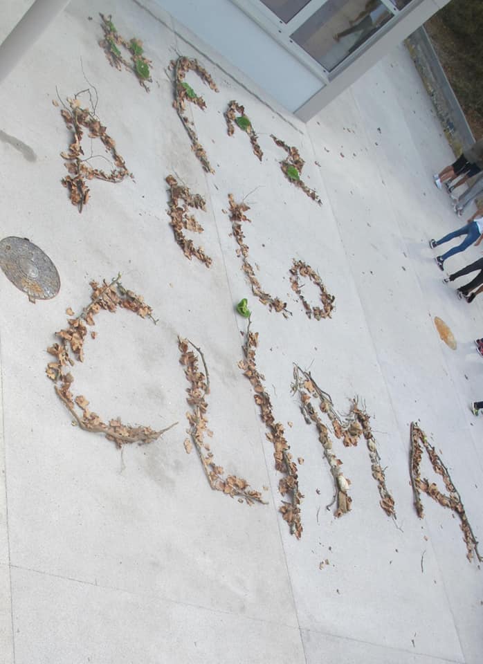 72086123_1396173137207814_8992088301368246272_n