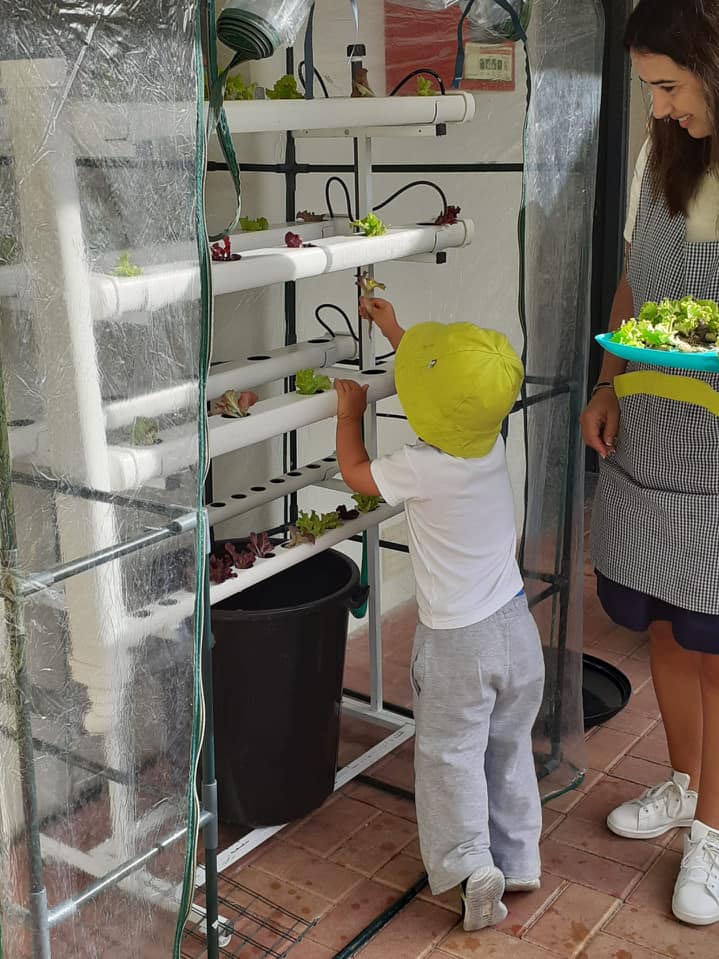 72215077_2532796786743050_7592834449352425472_n