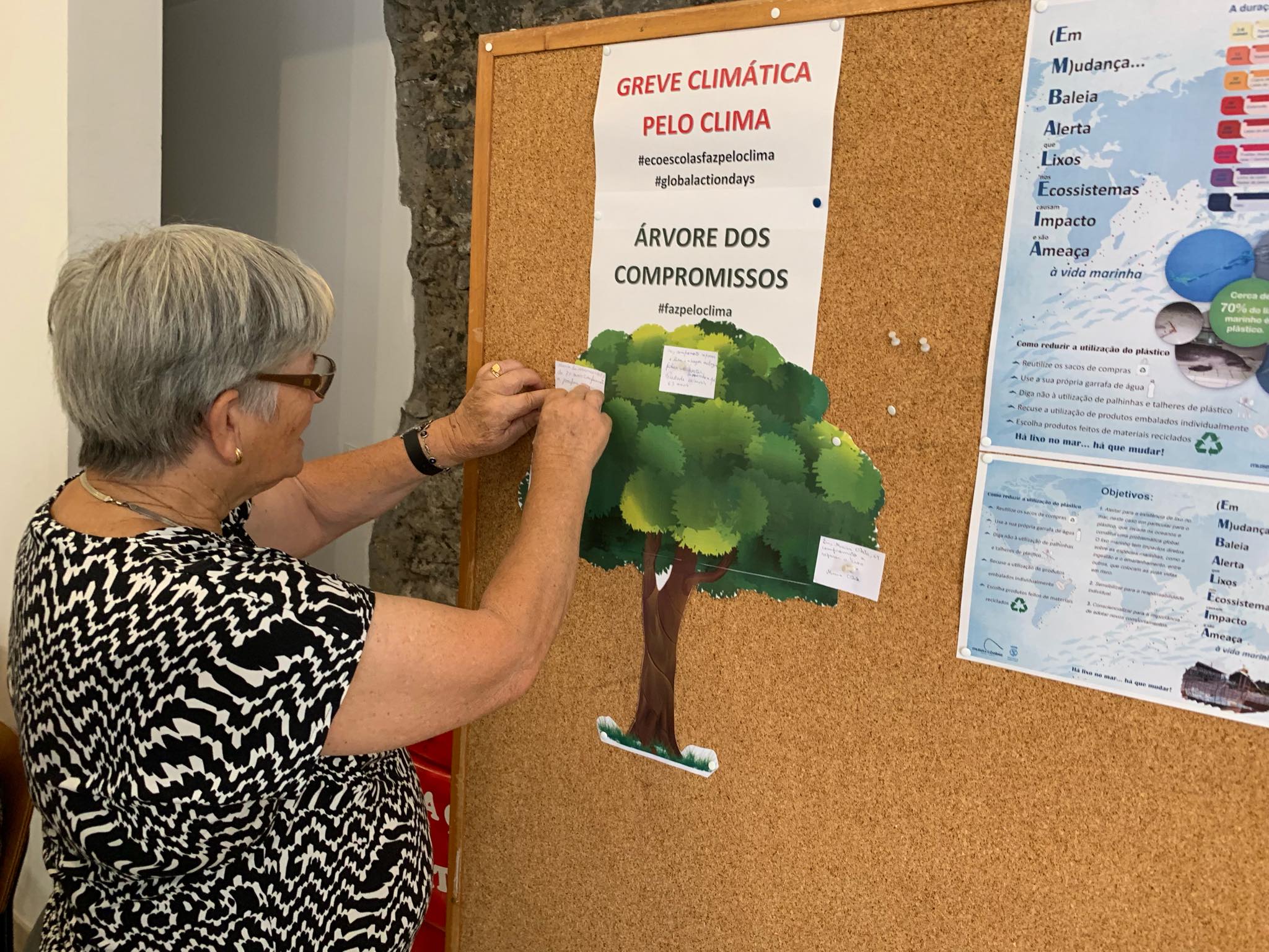 72220235_406870480030340_8784122523152285696_n