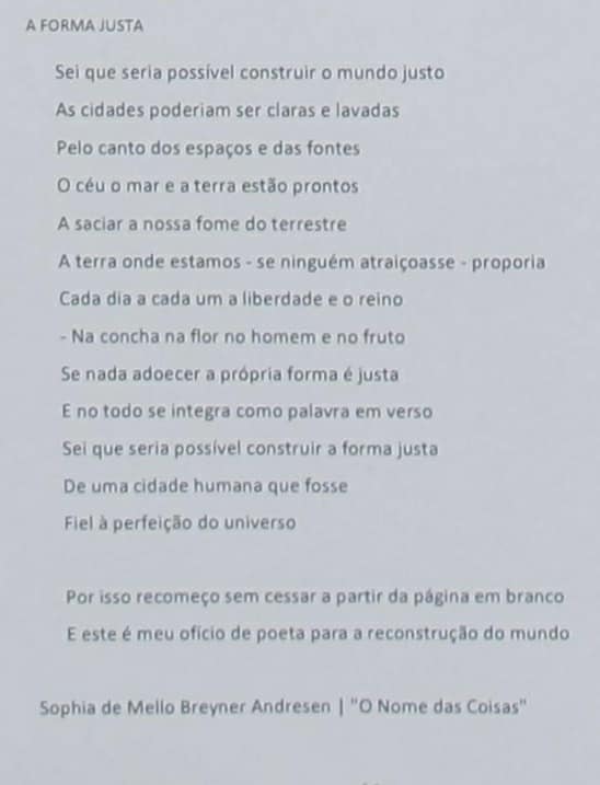 72292036_1396173003874494_4200386987951128576_n