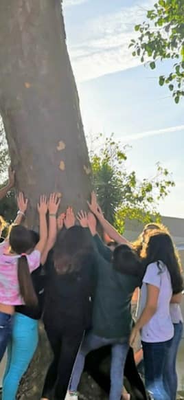 72355647_1396172657207862_6792709744646684672_n