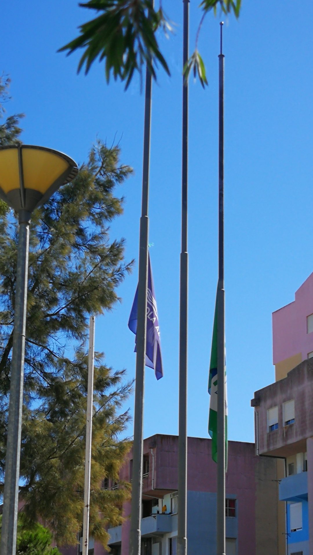 Greve Climática Global  #fazpeloclima #ecoescolasfazpeloclima #ecoschools #globalactiondays