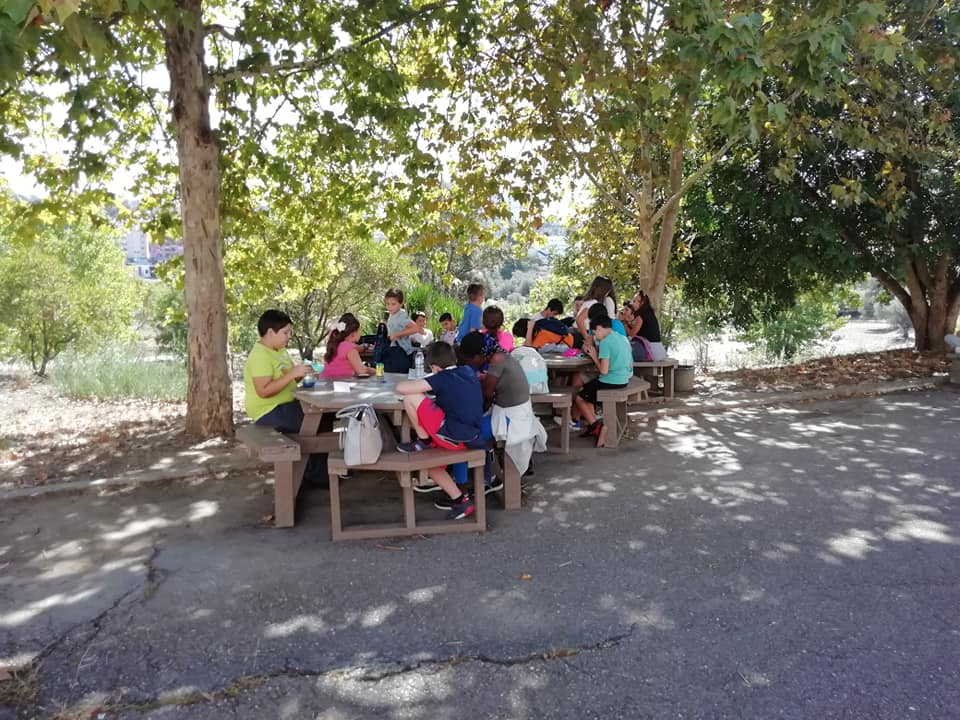 Eco-Escolas-FAZPELOCLIMA-8