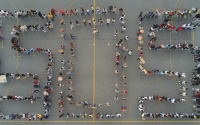 No dia 27 de setembro mais de 400 alunos concentraram-se no campo de jogos erguendo os cartazes alusivos ao tema elaborados nas aulas de Educação Visual e de Ciências Naturais, fazendo um SOS humano, em protesto com as atitudes até agora tidas pelos principais responsáveis. A bandeira da Escola esteve a meia haste em sinal de luto e pesar.