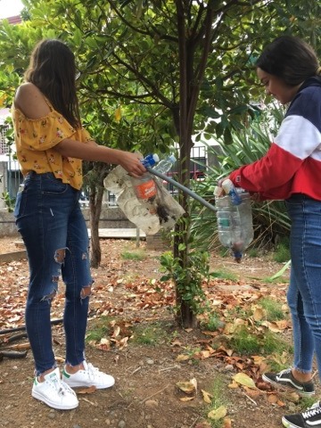 Limpeza do terreno agrícola e manutenção da horta biológica