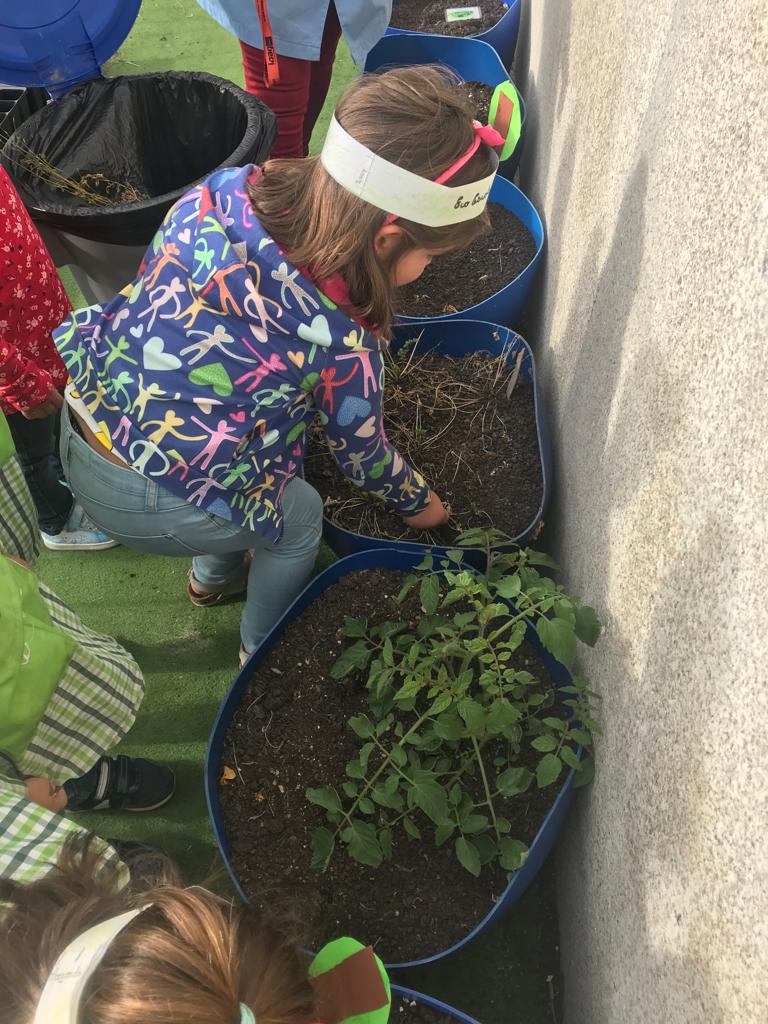 Greve Climática Global – 27 de setembro   “Proteger o Ambiente é cuidar da gente!”   #ecoescolasfazpeloambiente