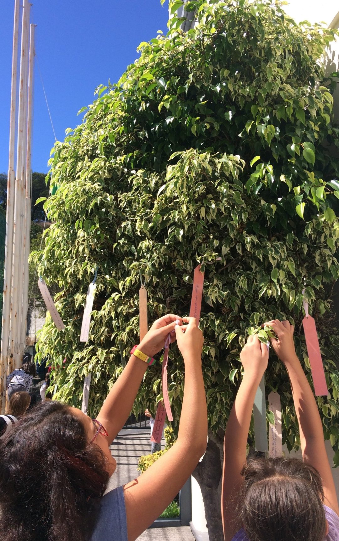 EB1/PE da Corujeira adere à Greve Climática Global