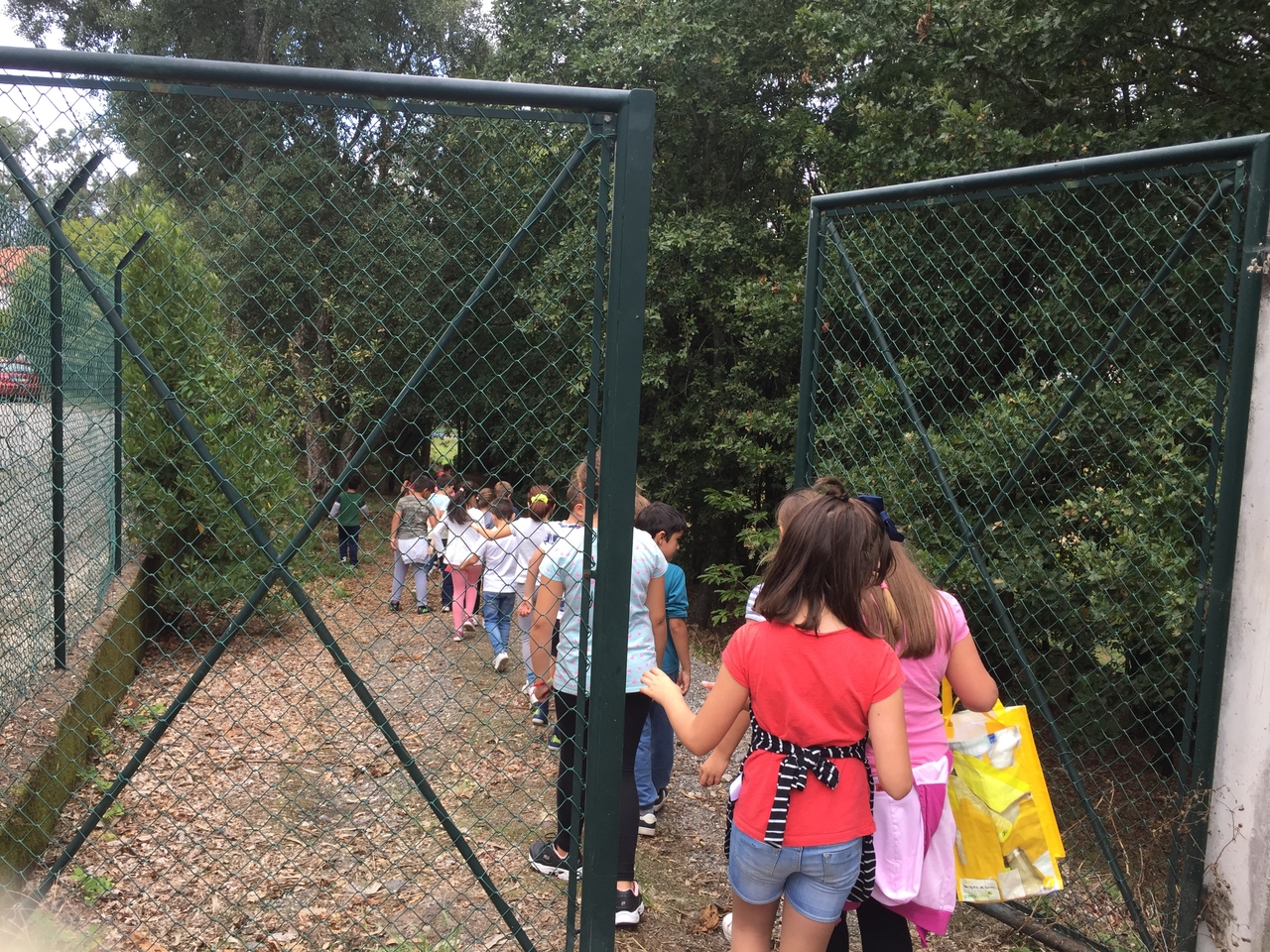 IMG_1223_Easy-Resize.com