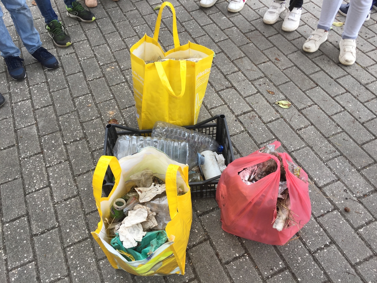 IMG_1231_Easy-Resize.com