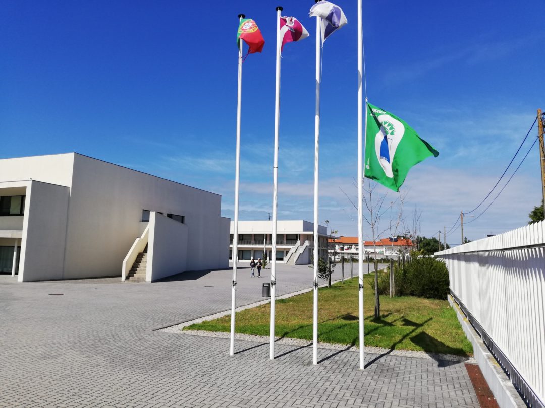 Combater as alterações climáticas       #fazpeloclima #ecoescolasfazpeloclima #ecoschools #globalactiondays