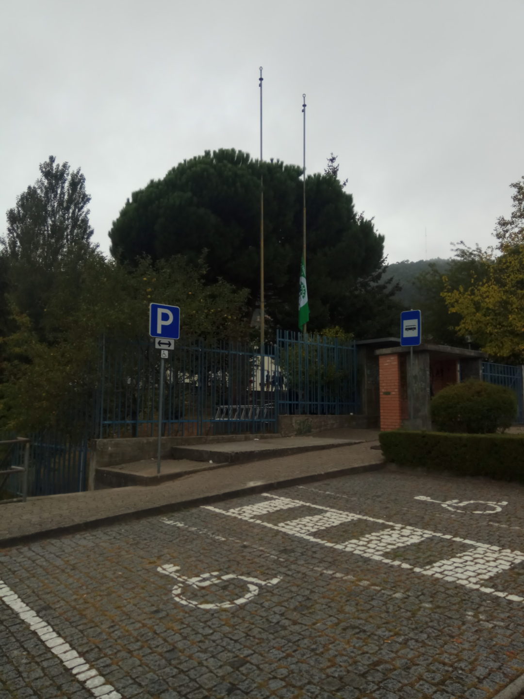 “Greve Climática Global” – Escola Básica da Abelheira  #fazpeloclima#ecoescolasfazpeloclima#ecoschools #globalactiondays