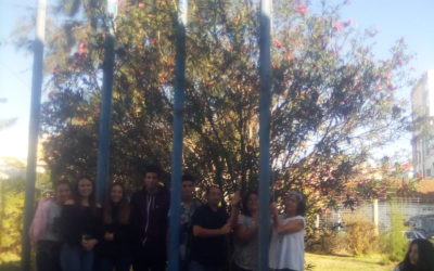 Hastear da bandeira verde (ESMC)