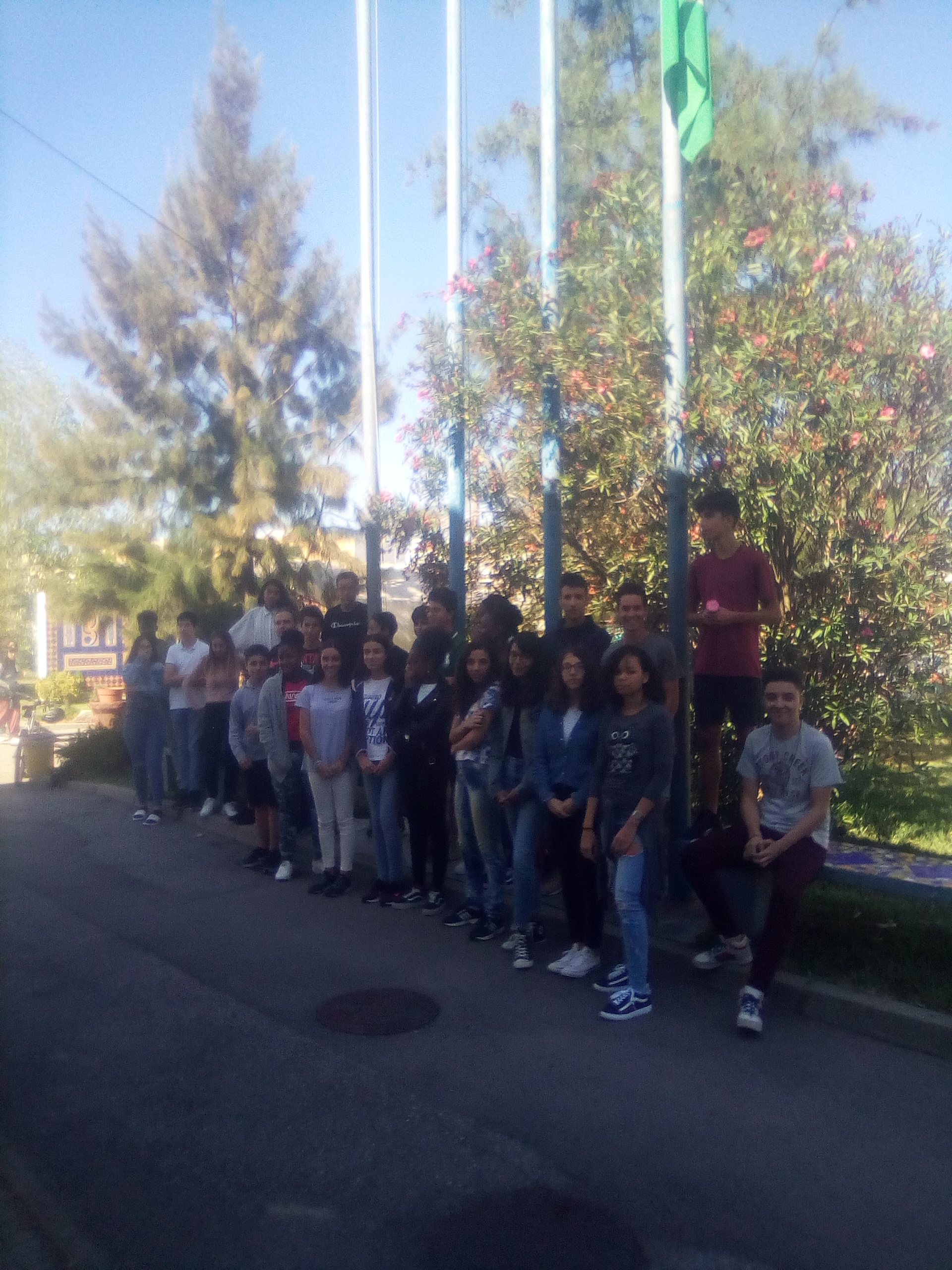 Hastear da bandeira verde (ESMC)