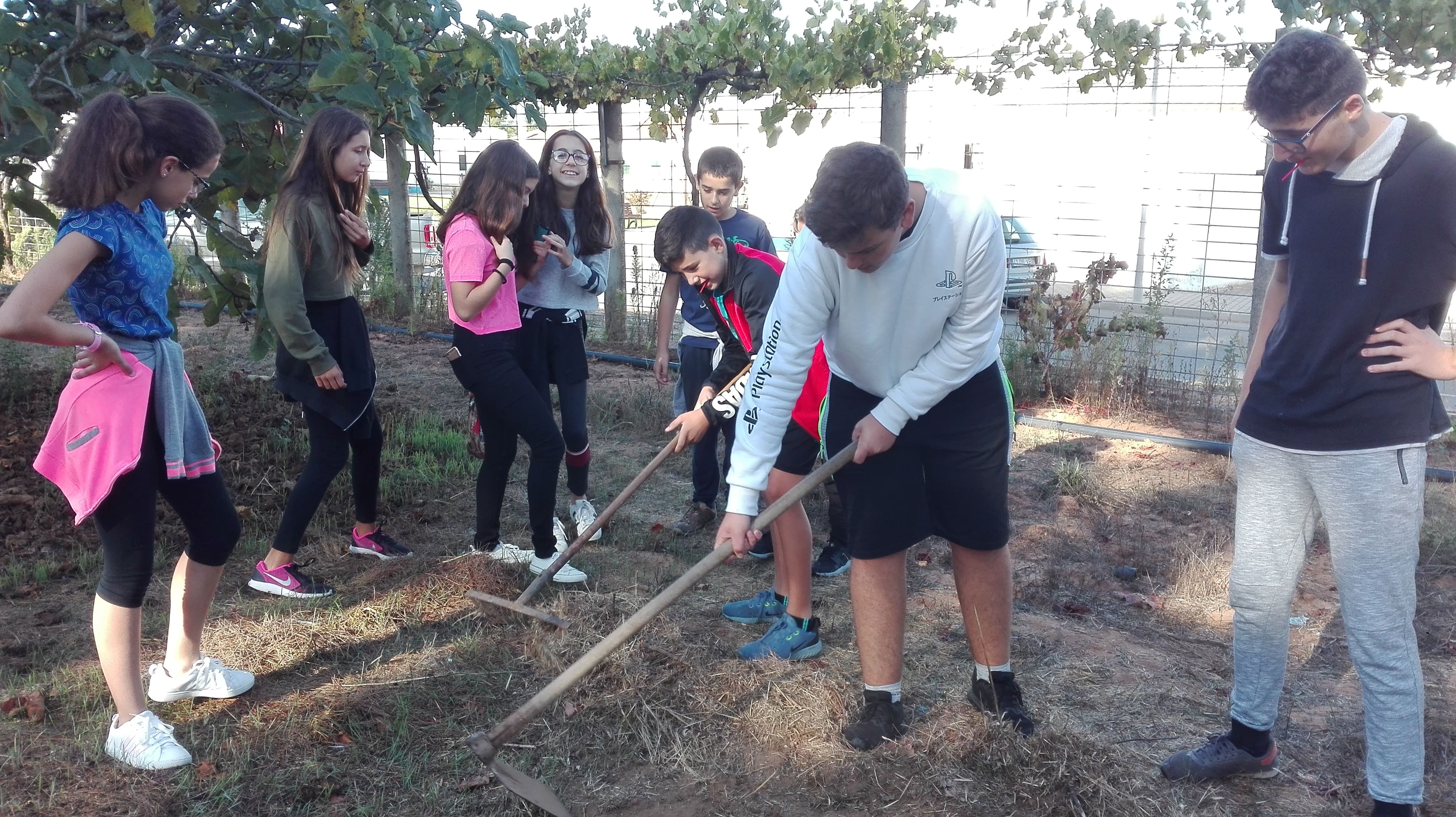 IMG_20191003_095810-min