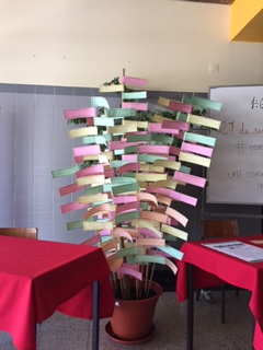 Global Day Action na Pinheiro e Rosa – Faro #ecoescolasfazpeloclima #globalactiondays