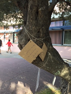 Chamusca Solidária faz pelo Clima!