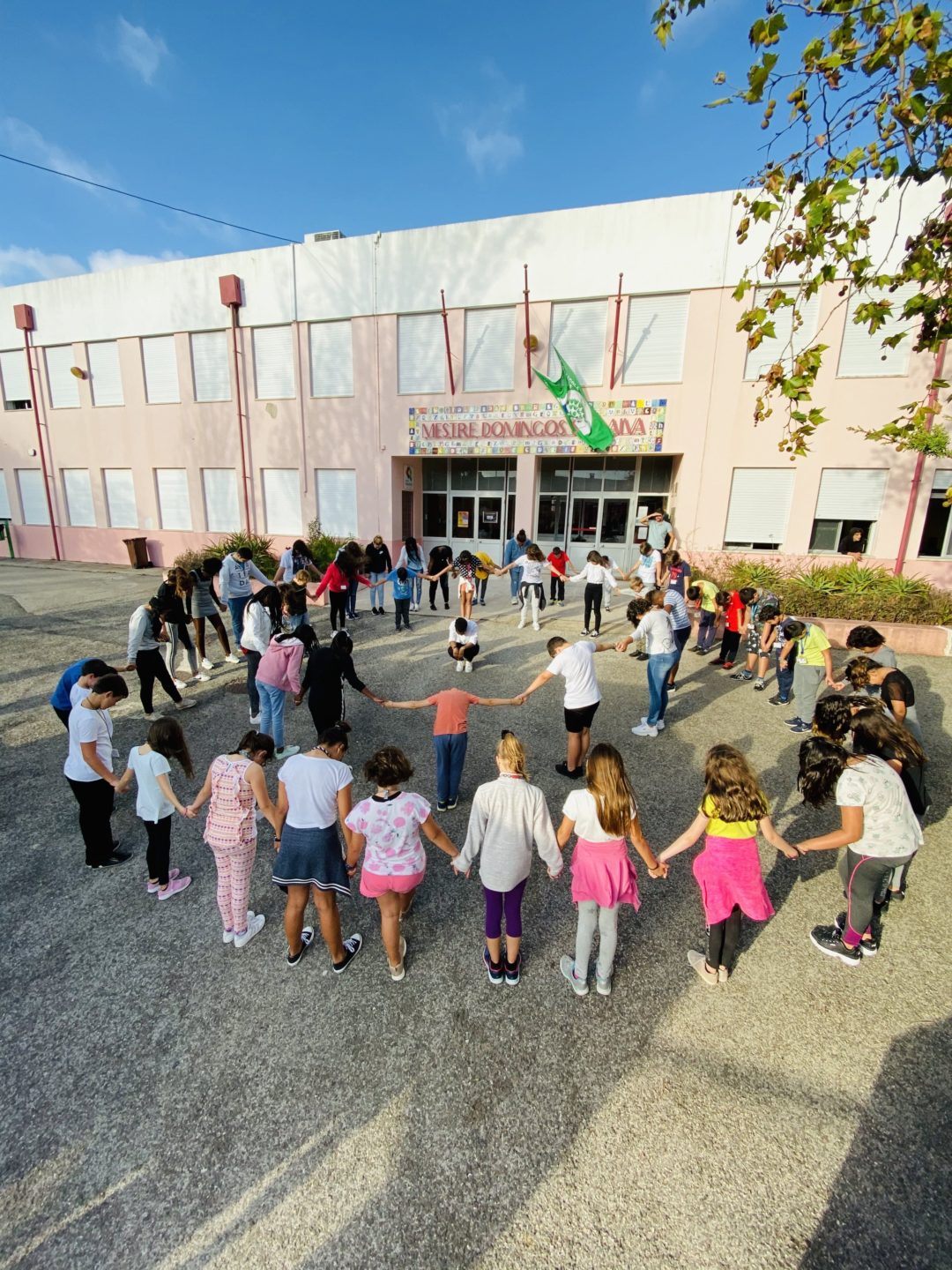 Greve Climática Global – Escola Básica e Secundária Mestre Domingos Saraiva