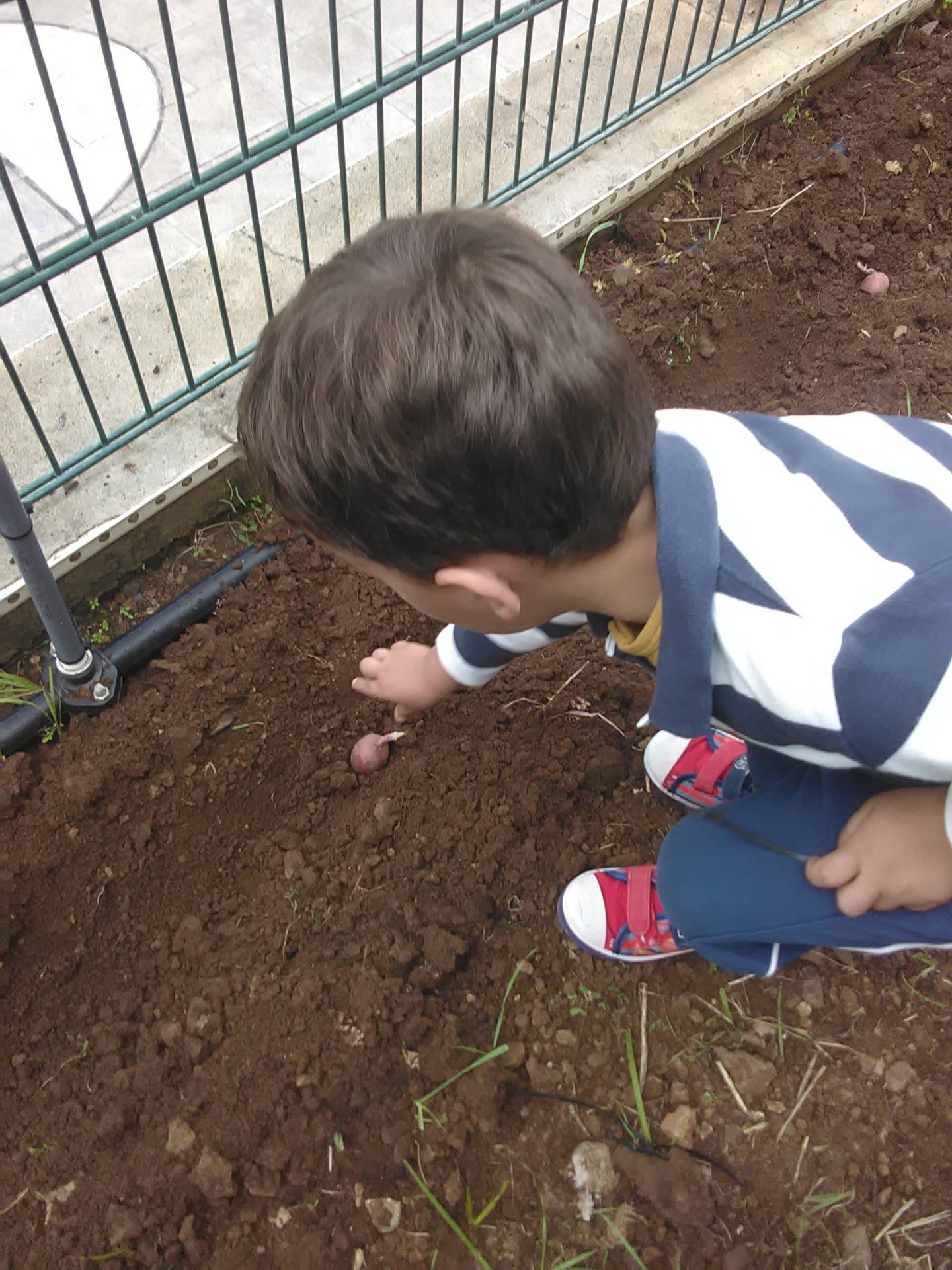 b55a596e-eb5a-41a6-883a-4e18e87d0f9c