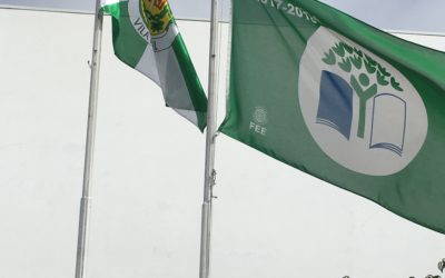 Bandeira verde a meia haste