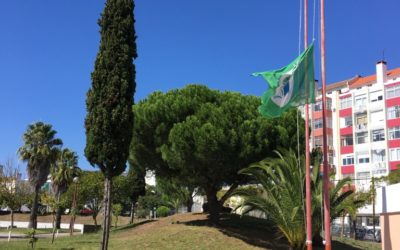 Bandeira da Eco-Escolas