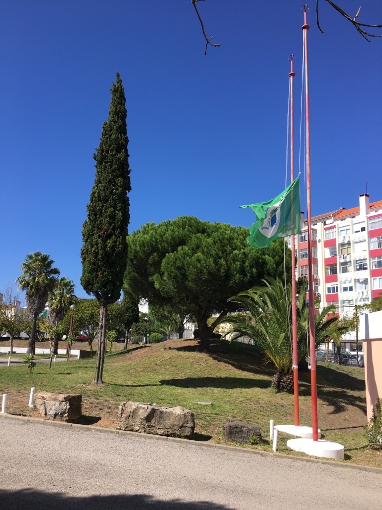 Agrupamento de Escolas  Miguel Torga Amadora#fazpeloclima# #ecoescolasfazpeloclima #ecoschools #globalactiondays