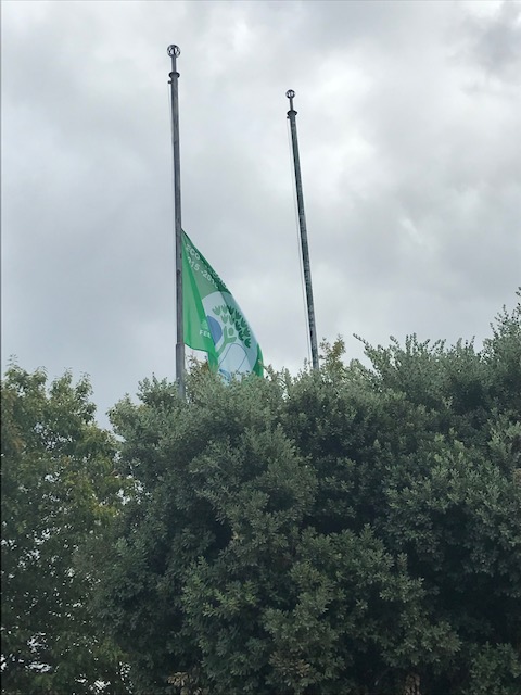 bandeira eco-escolas