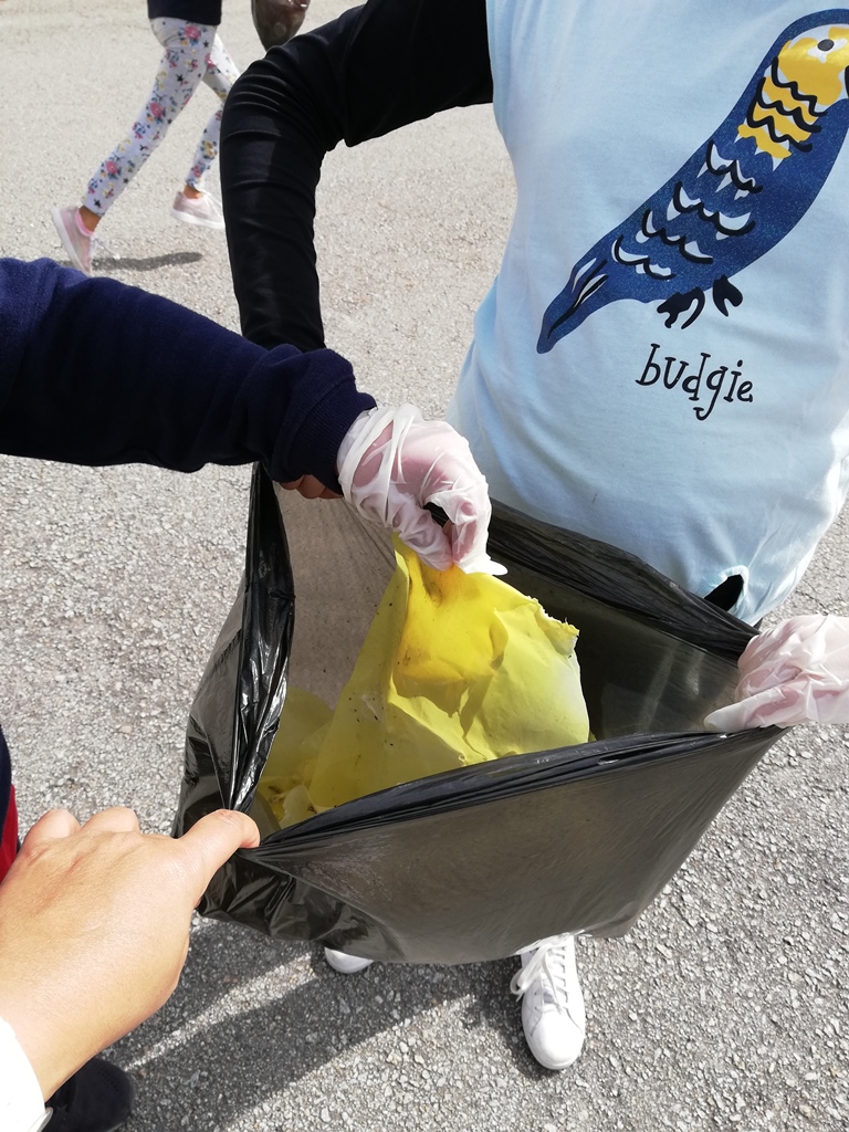 Global Action Days- Greve Climática Global