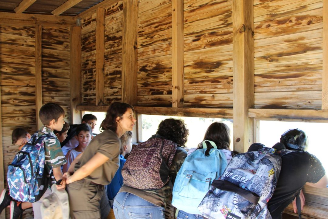 #ecoescolasfazpeloclima – Percurso Interpretativo na Natureza – “Conhecer para Proteger” – Agrupamento de Escolas Dr. Alberto Iria (Olhão)