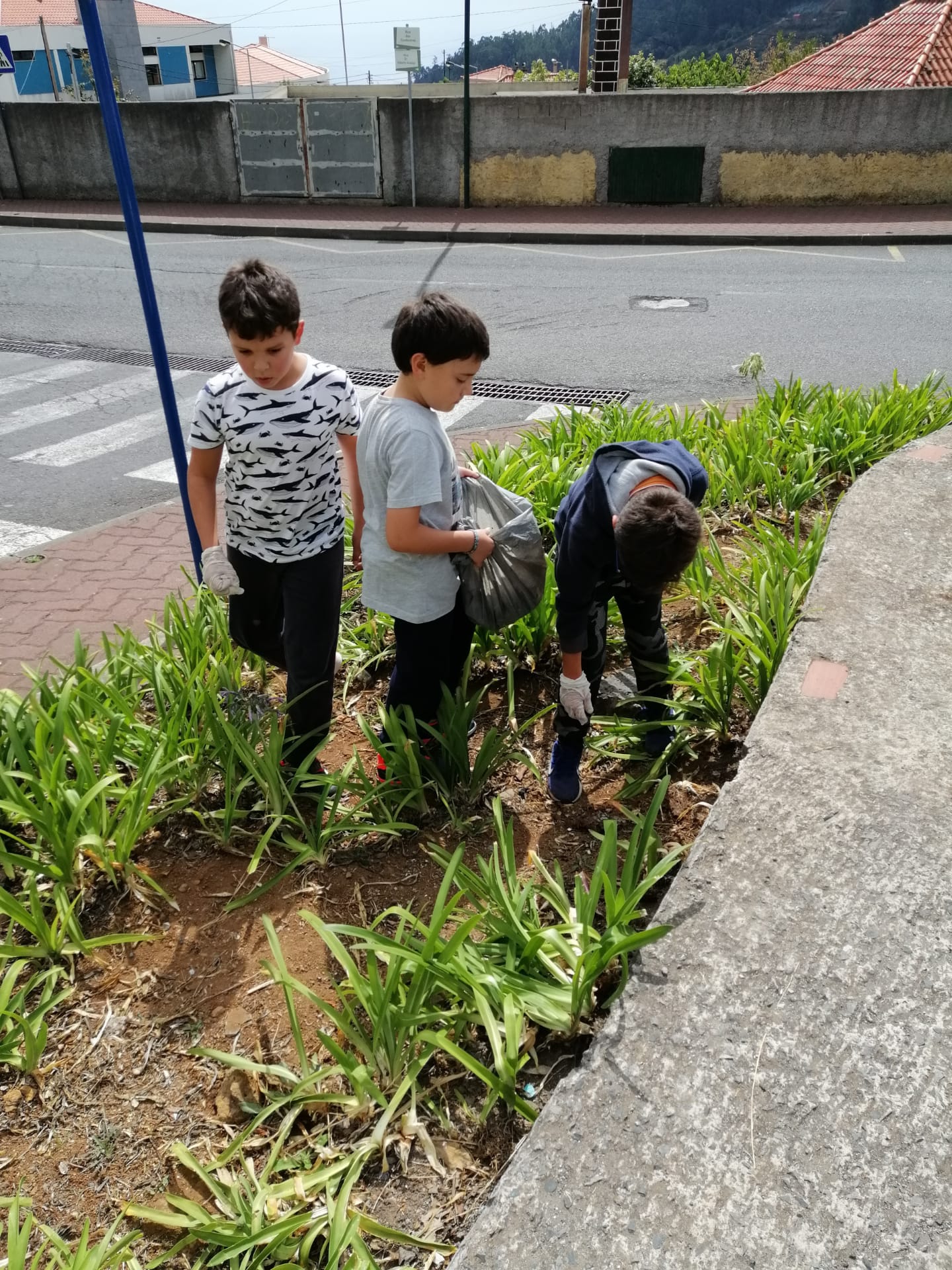 e7b689a3-79e0-4fad-845f-202391d0a73b