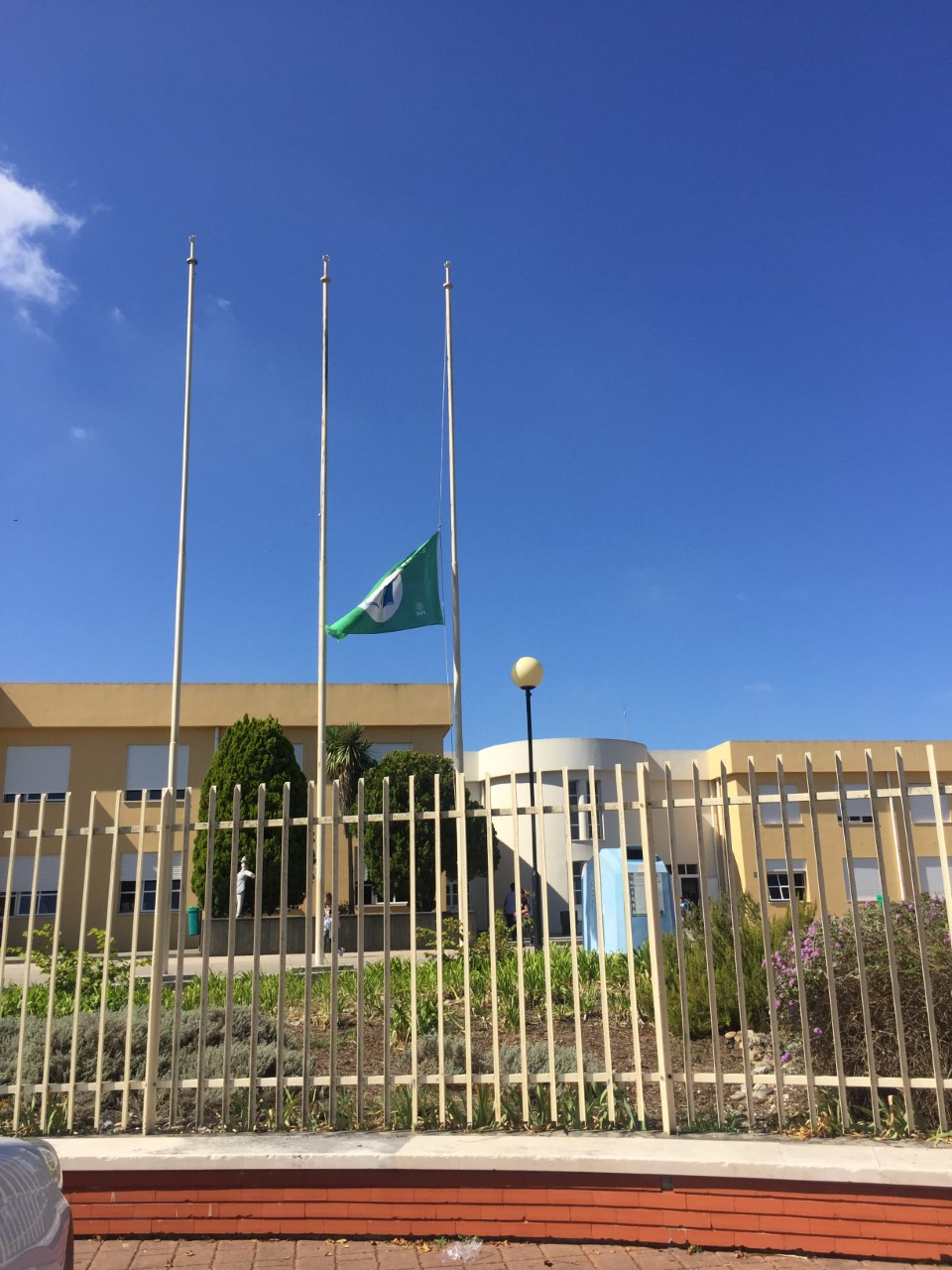 Gualdim Pais #fazpeloclima #ecoescolasfazpeloclima #ecoschools #globalactiondays