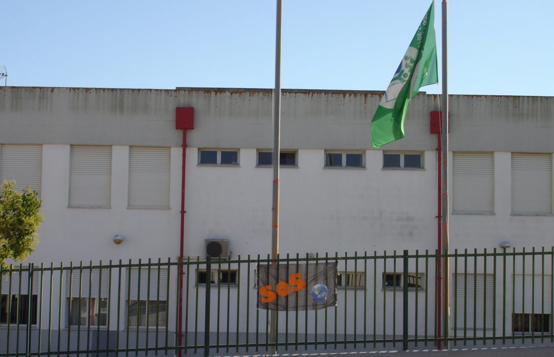 Escola Básica de Vendas Novas, Nº1 #fazpeloclima #ecoescolasfazpeloclima #ecoschools #globalactiondays