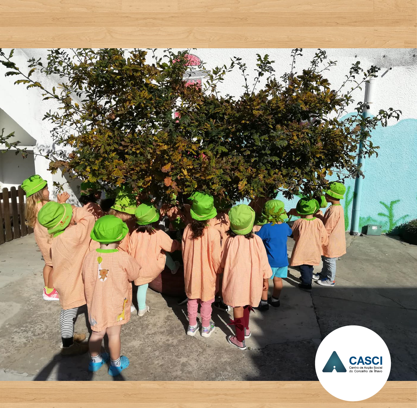 Eco-ação de limpeza das crianças do CASCI