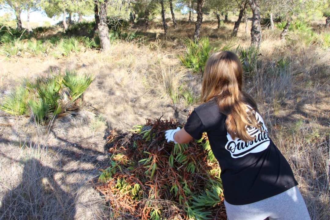#ecoescolasfazpeloambiente – Remoção de exóticas no Parque Natural da Ria Formosa – Agrupamento de Escolas Dr. Alberto Iria (Olhão)