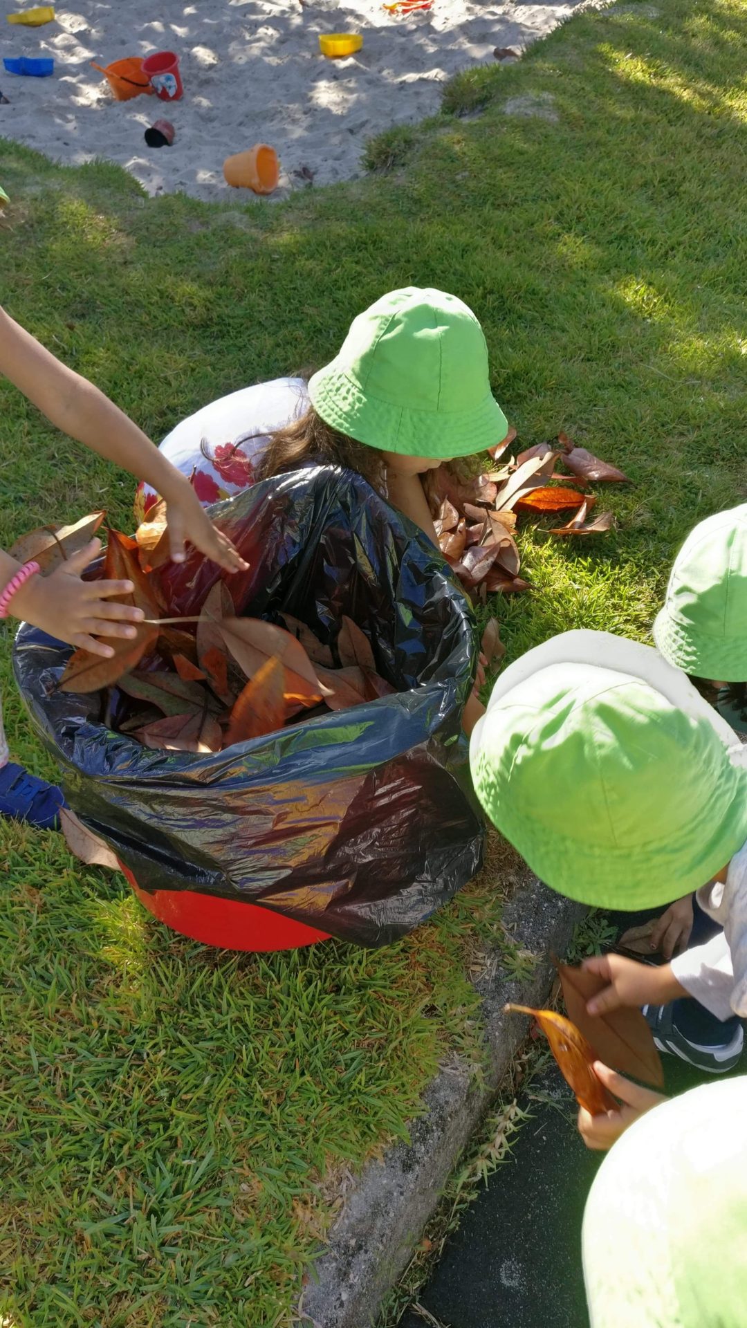 Todos juntos pelo clima