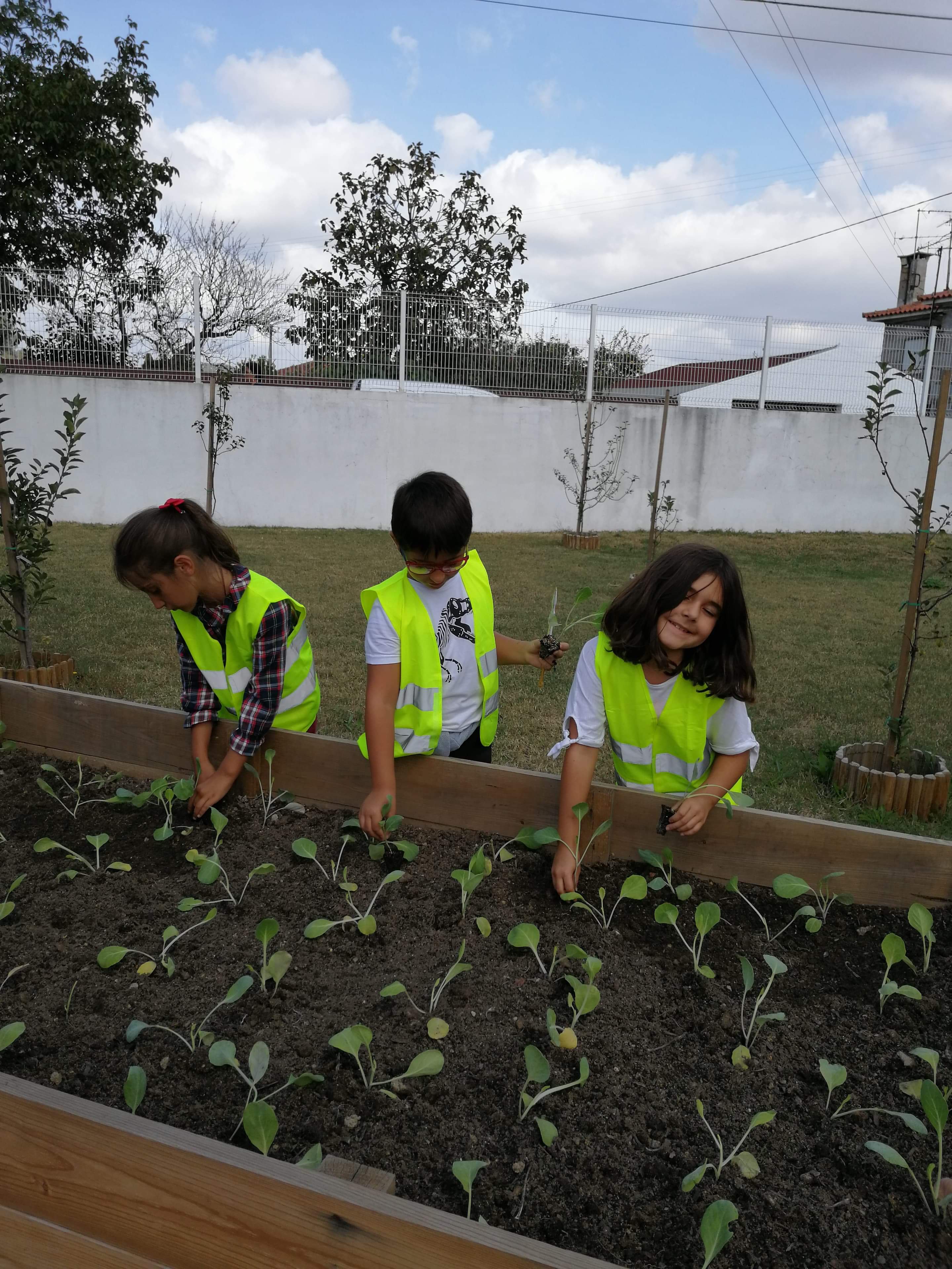 received_2498992960332236