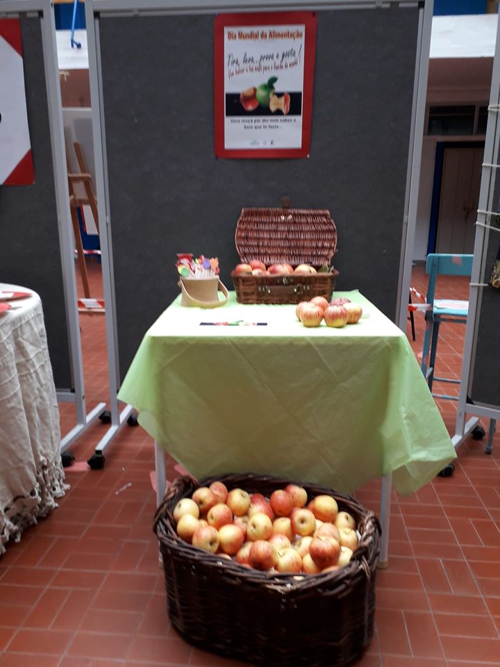 72479522_2360505474078297_4483911712033996800_o