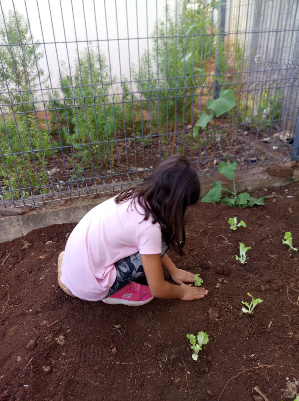 74620849_463378654308234_3719565553782751232_n