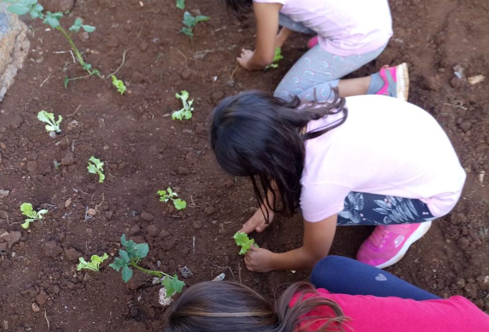 “Somos o Eco-Futuro”