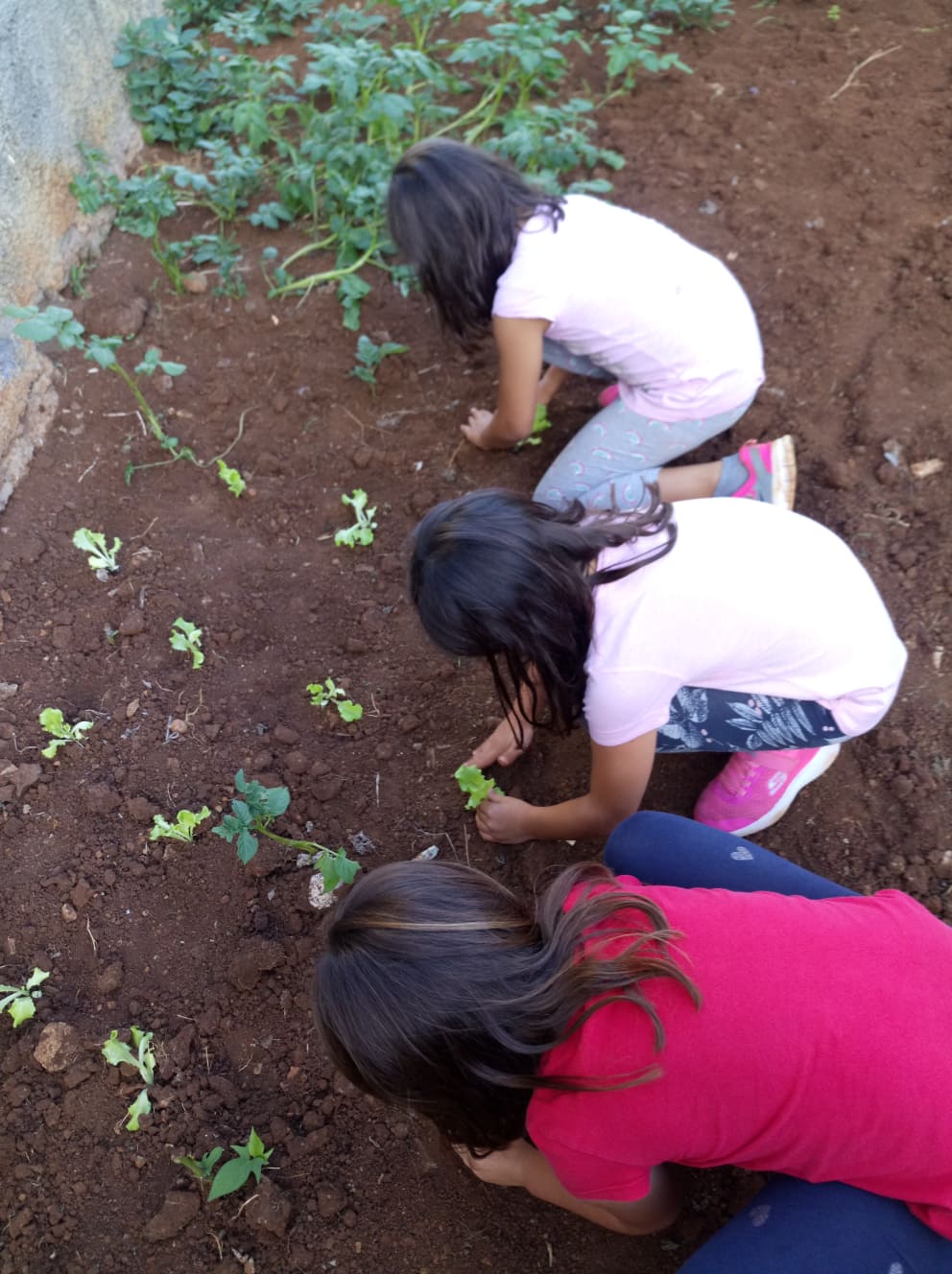 “Somos o Eco-Futuro”