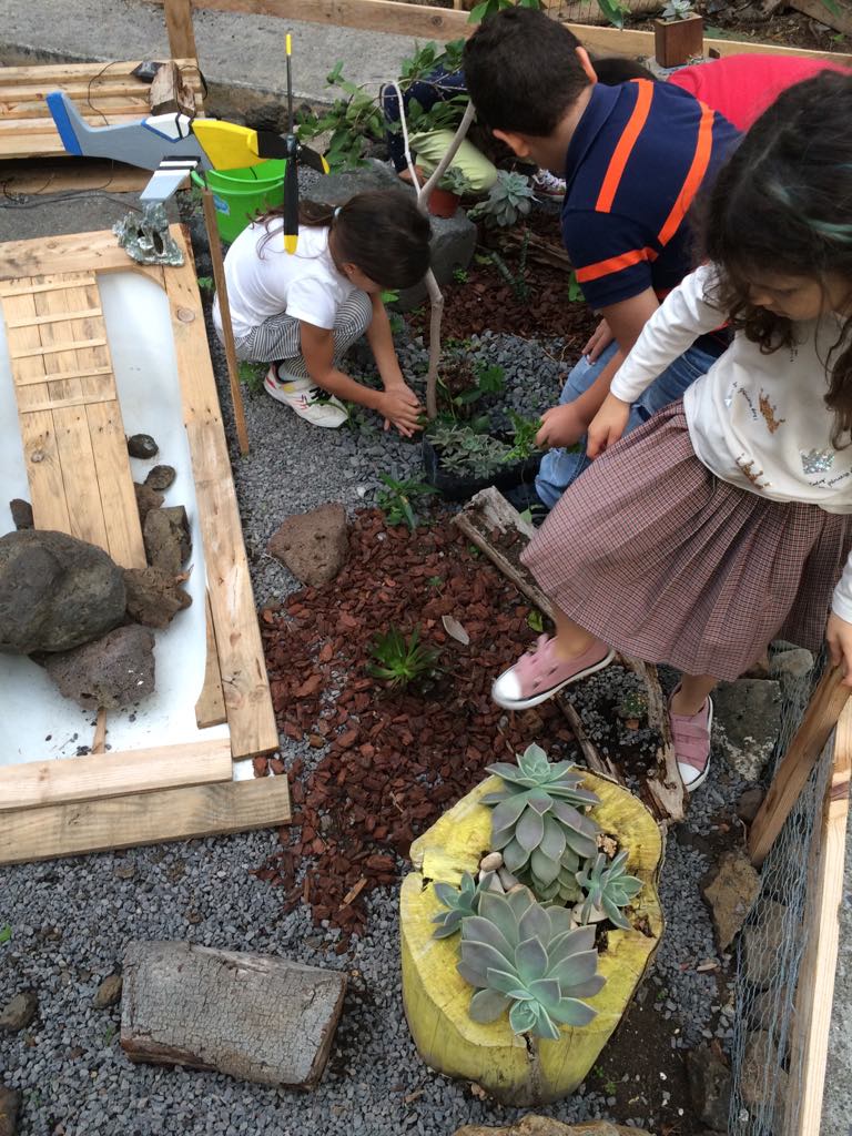 76986934_2416021028725791_5173007187106070528_n