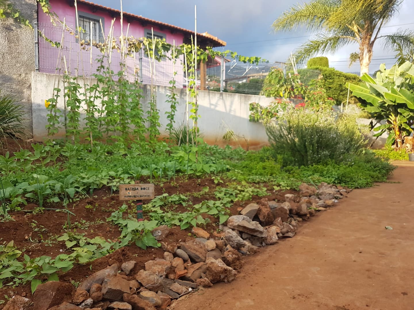 78692559_580097889408283_3169818012001763328_n A nossa horta biológica 2019-2020