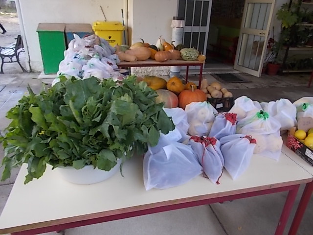 DSCN3056 Produros biológicos